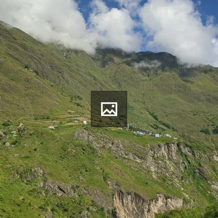 Lush hillside with terraced fields