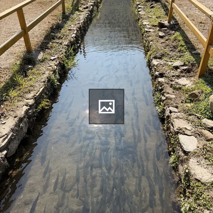 Channel with School of Fish
