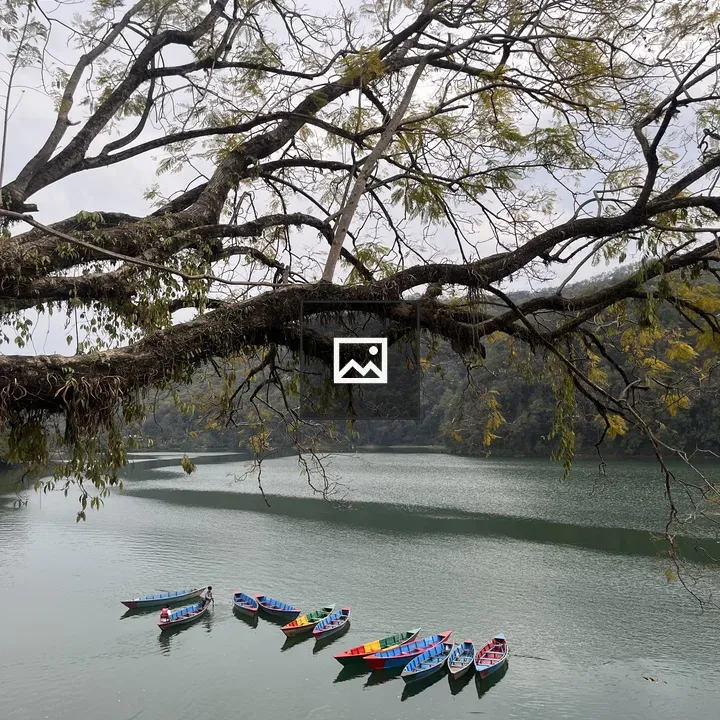 Phewa Lake Boats