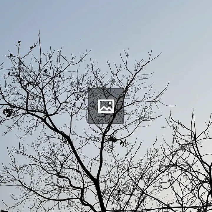 Bare branches with birds