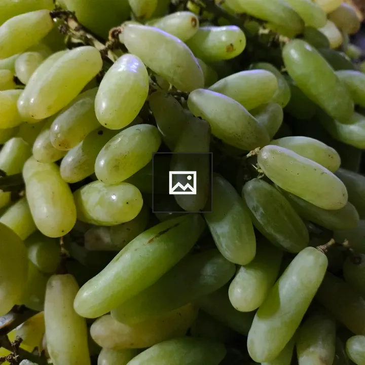 Green Grapes