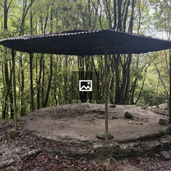 Rustic shelter with corrugated roof