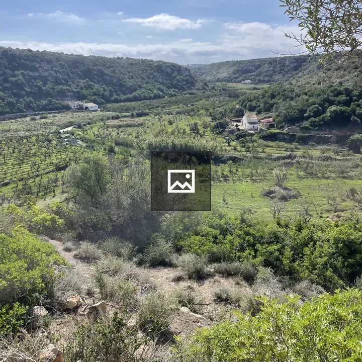 Valley in Cala en Porter