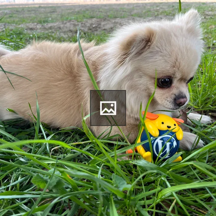 Wapuu and Puppy on Grass
