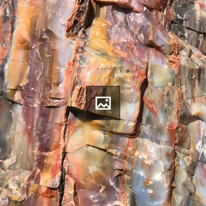 Rainbow Petrified Wood Closeup