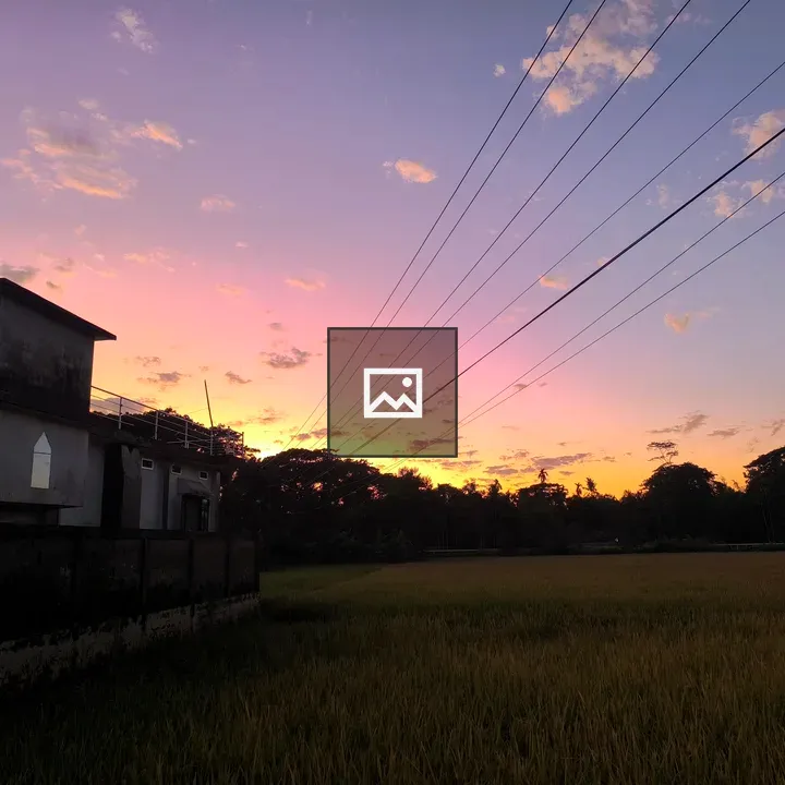 Sunset over rice field and barn