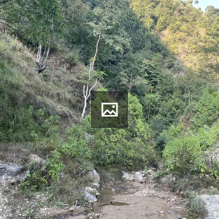 H hillside landscape with greenery