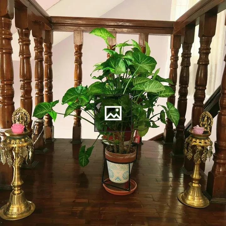 Potted plant between ornate lamps