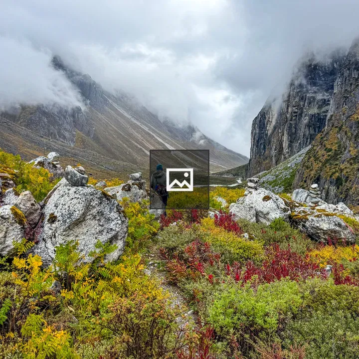 Hiker in Alpine Meadow