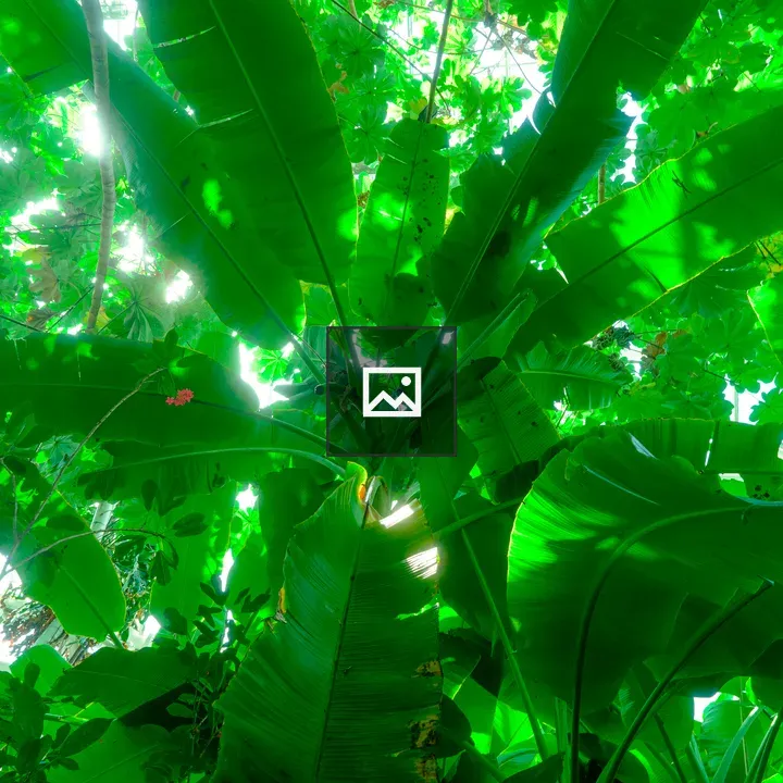 Green tropical leaves with red flowers
