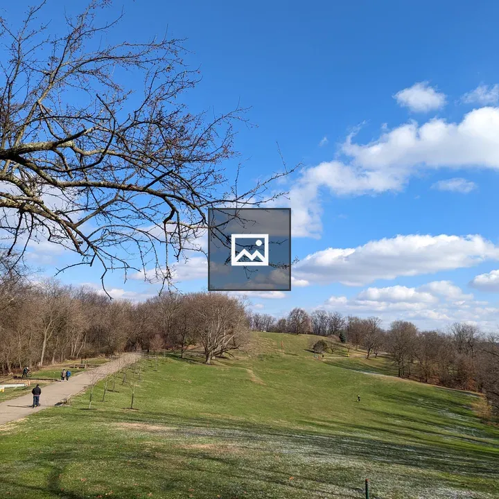 Meadow in Frick Park