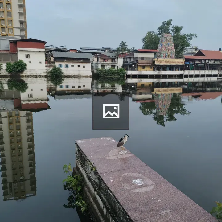 Bird by Waterway with Temple Reflection
