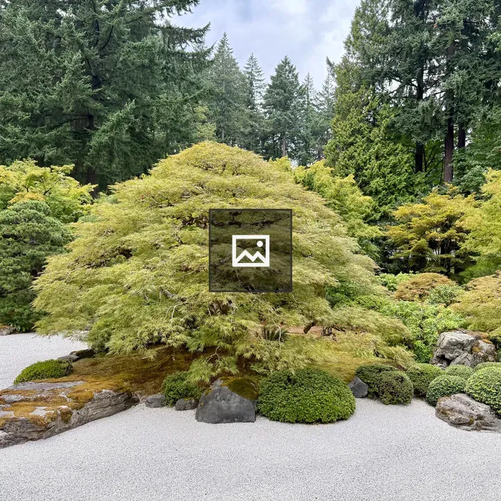 Portland Japanese Garden Scene