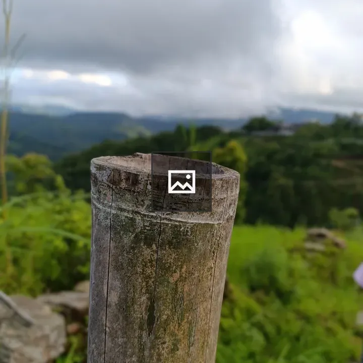 Weathered wooden post in nature
