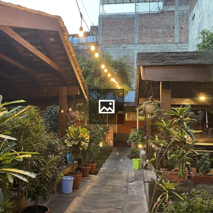Garden Path with Potted Plants