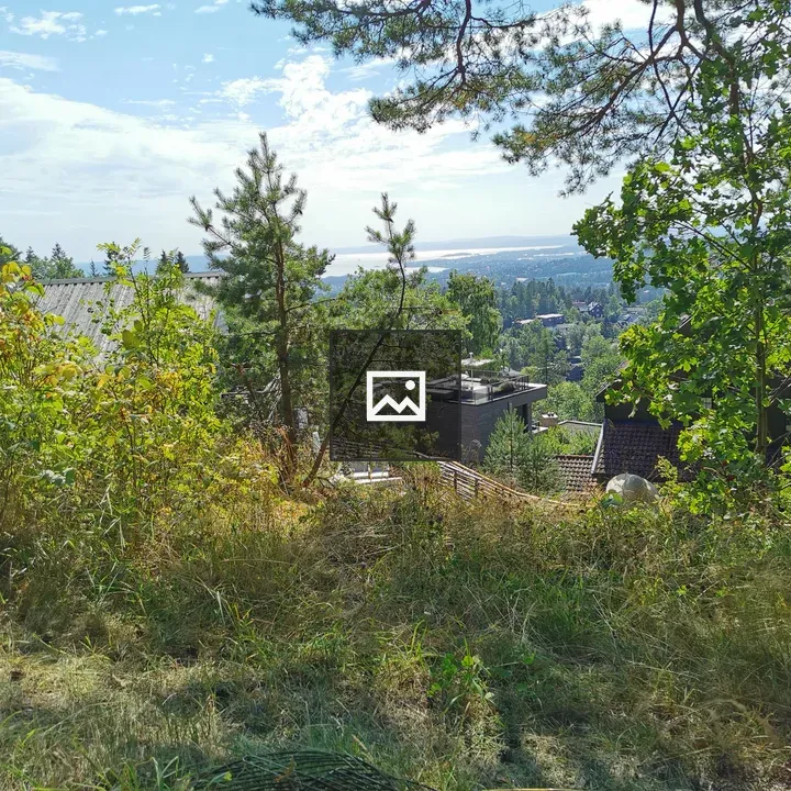 Suburb in Oslo with Houses and Water
