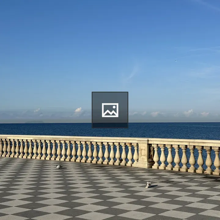 Pigeons on Checkered Floor