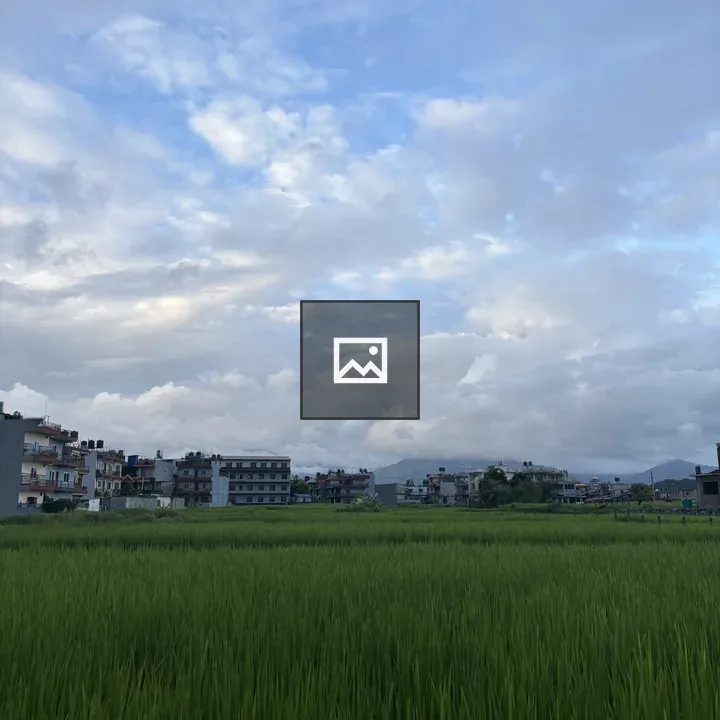 Field of Green Grass