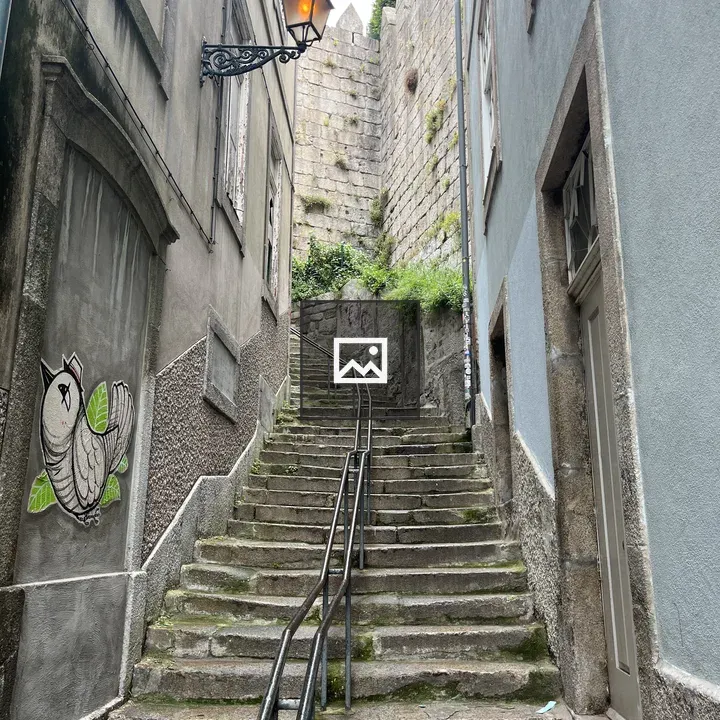 Castle stairs in Porto