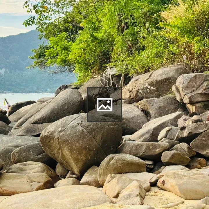 Rocks on Sandy Shore with Forest