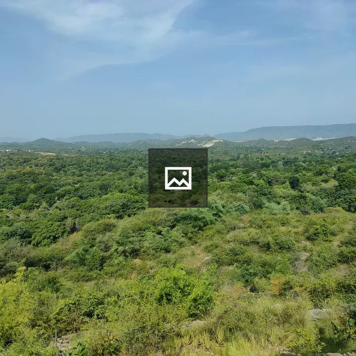 Forest Green Landscape