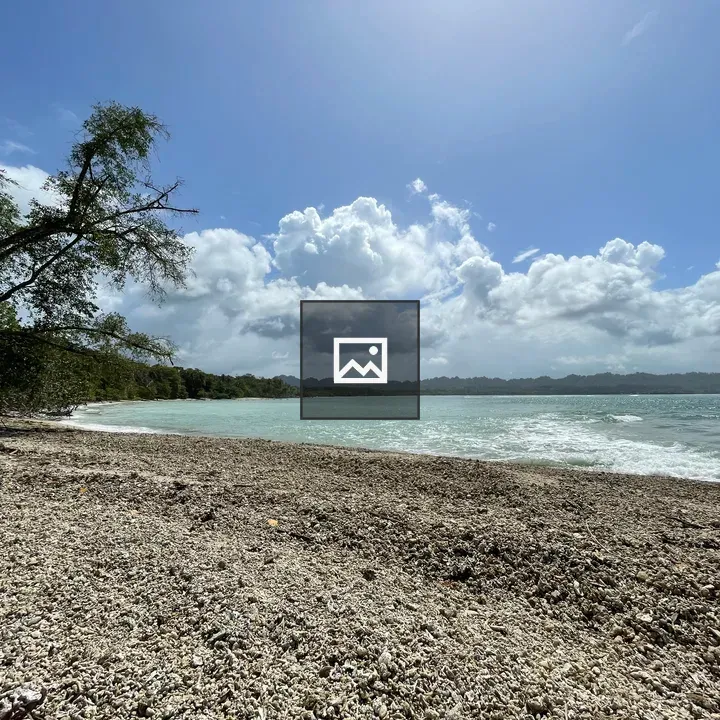 Cahuita National Park Shoreline