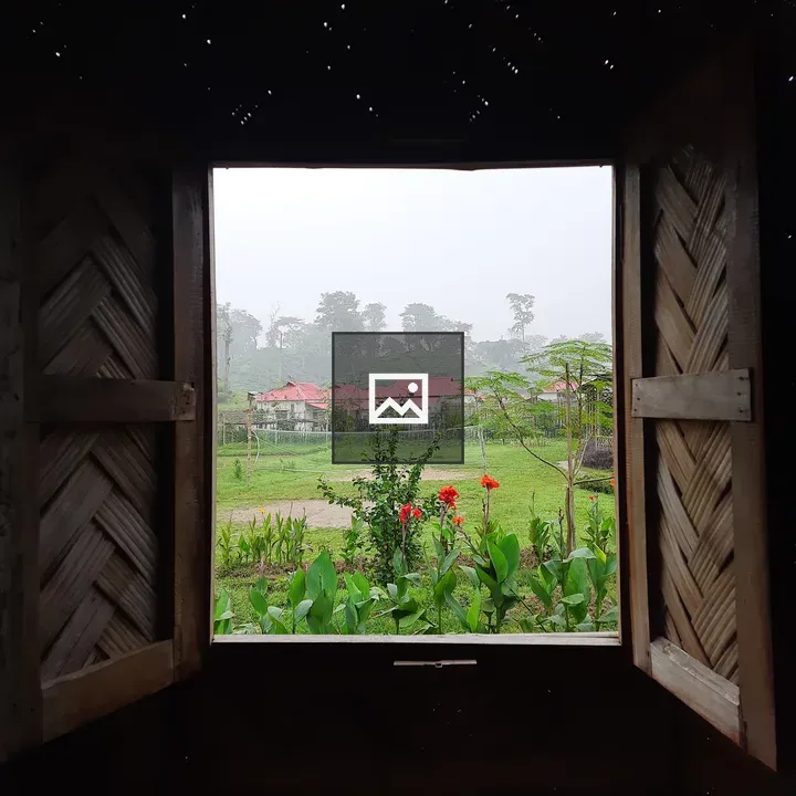 Three red flowers through window