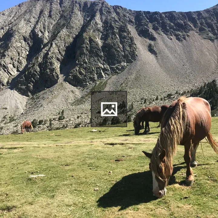 Brown Horse Grazing in Mountains