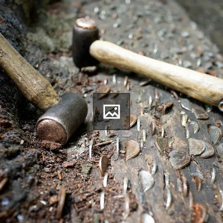 Coins hammered in wood