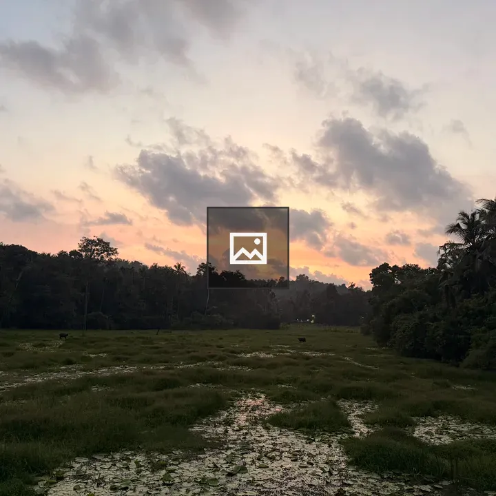 Serene wetland field at sunset