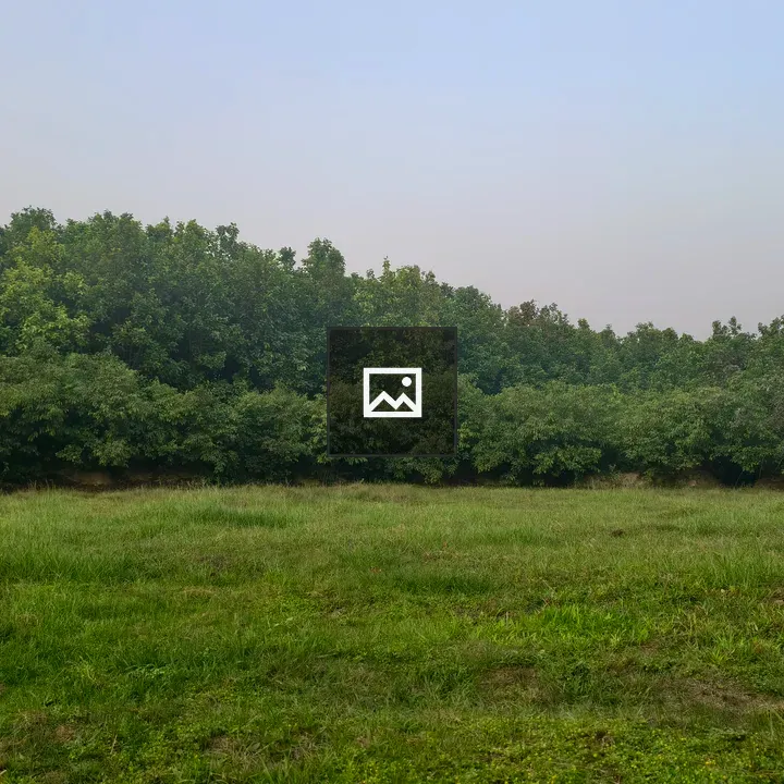 Open grassy field with trees