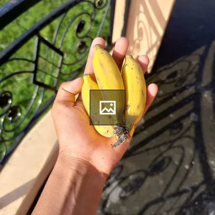 Person with bunch of bananas