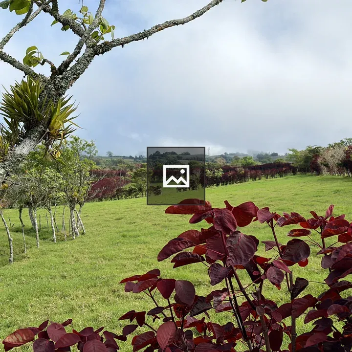 Vibrant Rural Landscape with Red Foliage