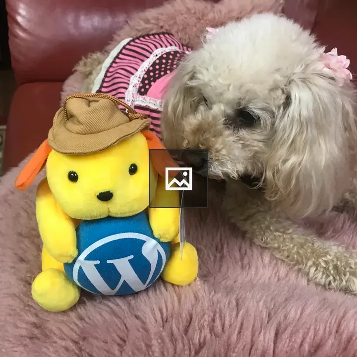 Wapuu dog toy portrait
