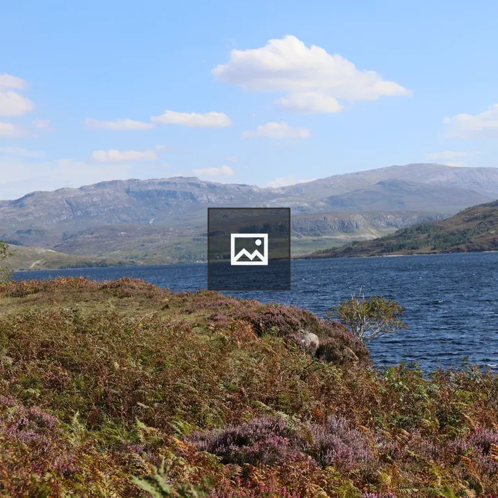 Heathered Highland Loch