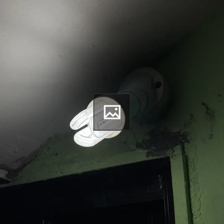 Ceiling Light Fixture with CFL Bulb