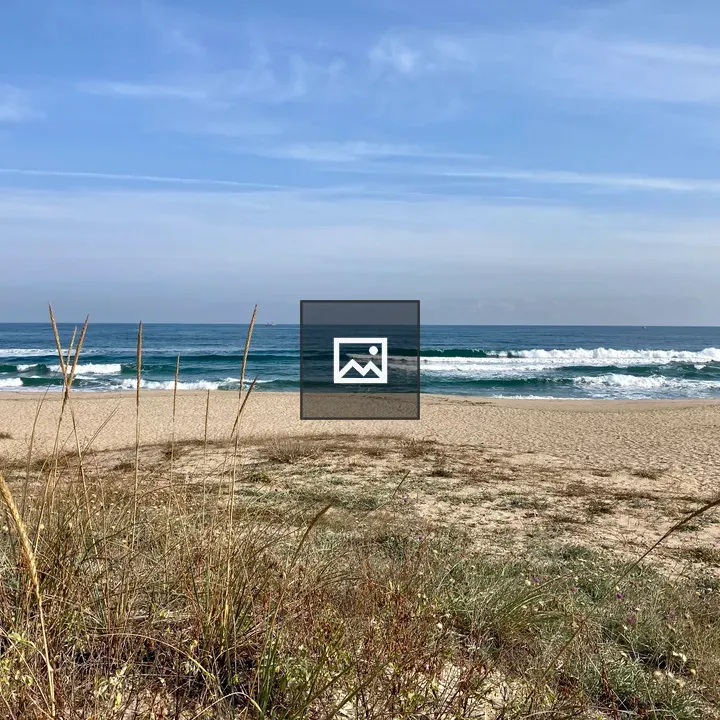 Sozopol beach scene
