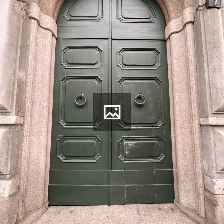 Solid door in Milan