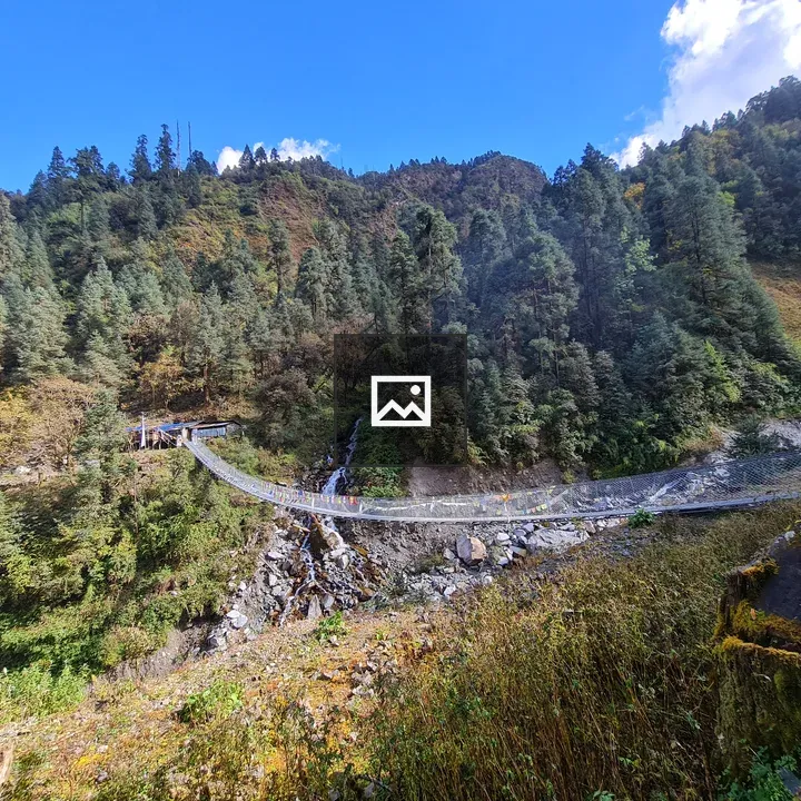 Suspension bridge in landscape