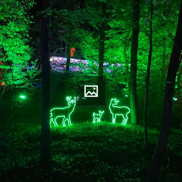 Deer Silhouettes with Neon Lights