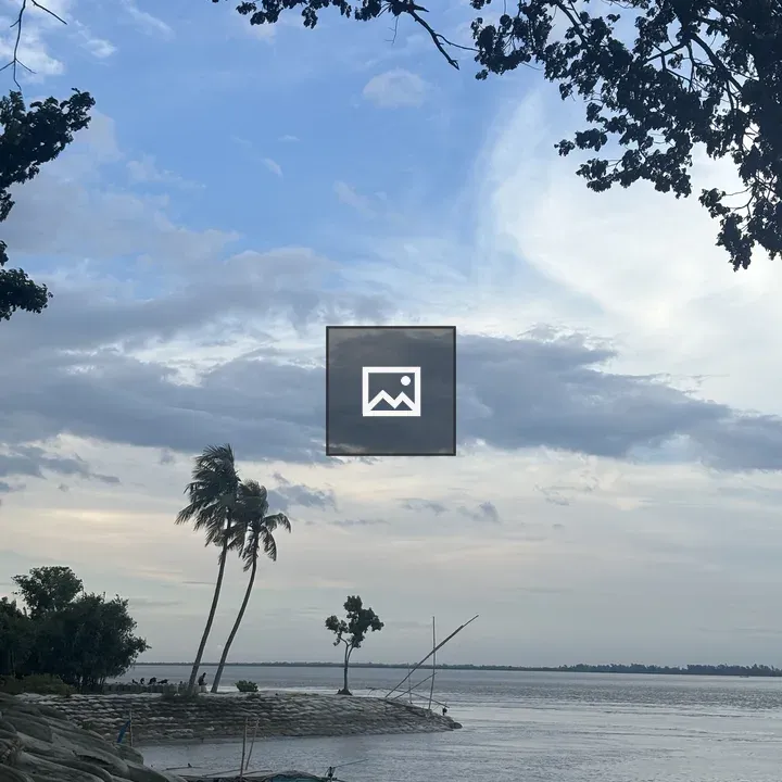 Large tree by waterfront with boat
