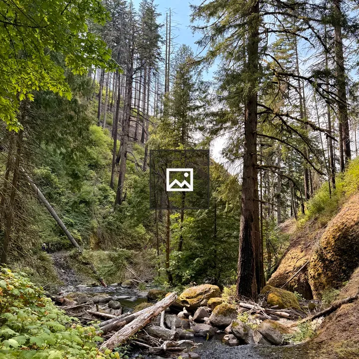 Serene stream through mossy rocks