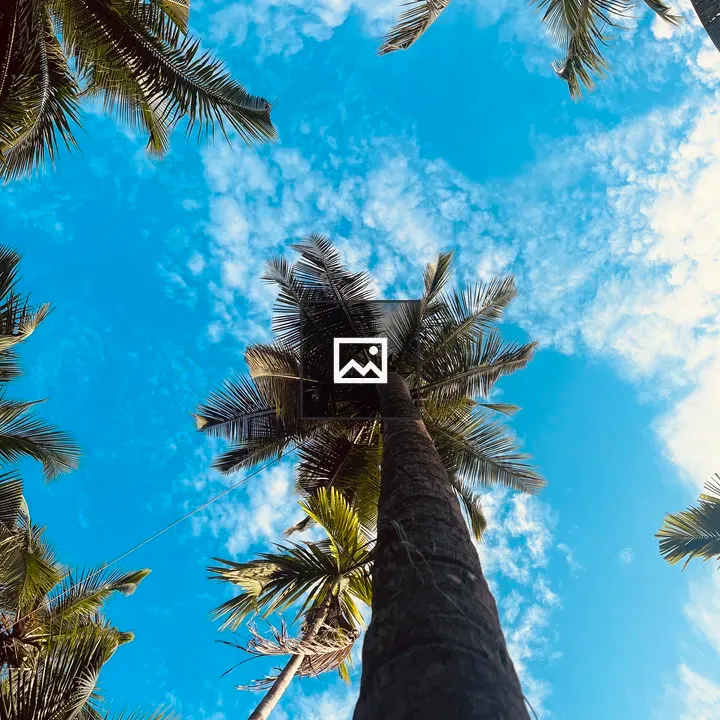 Coconut Trees Under Blue Sky
