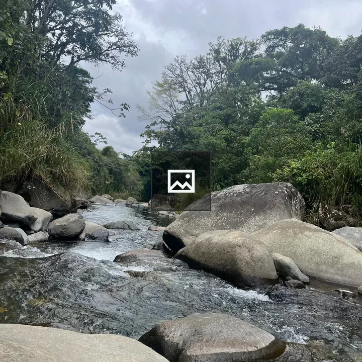 Orosi River in Highland Forest
