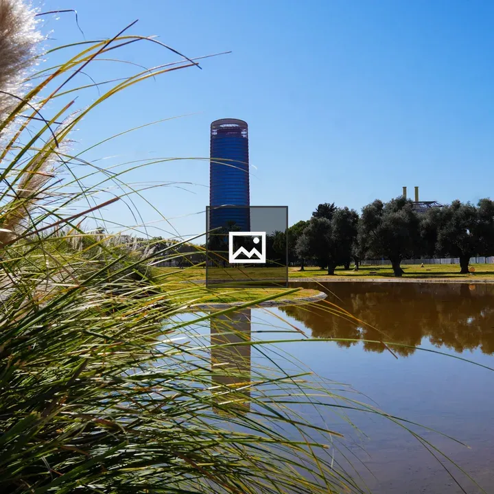 Tall grasses and skyline reflection