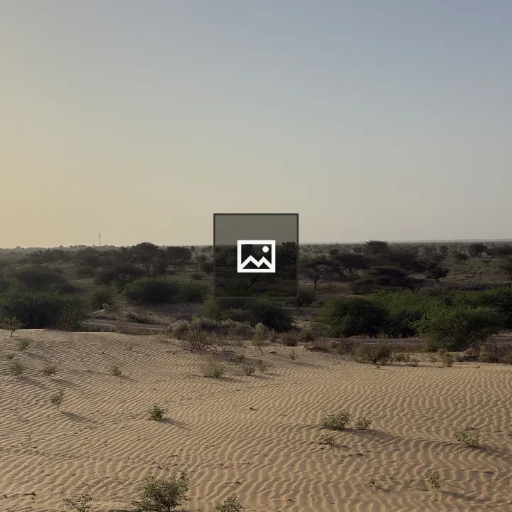 Dune Landscape with Sand Patterns