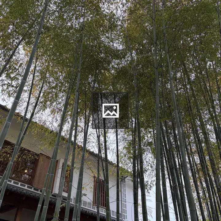Tall bamboo canopy and sloped-roof building