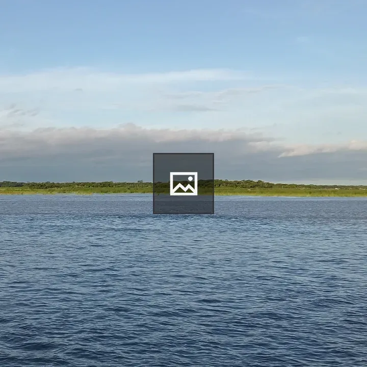 Lake View with Trees and Clouds