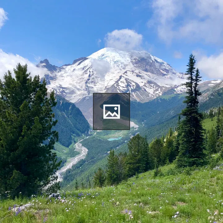 Mt Rainier Field with Wildflowers