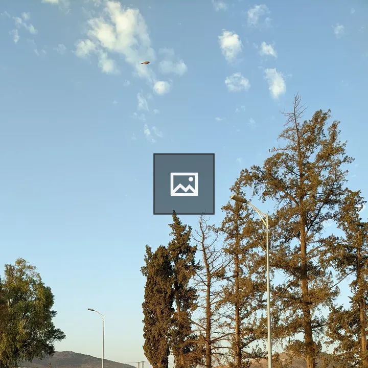 Row of tall trees under blue sky